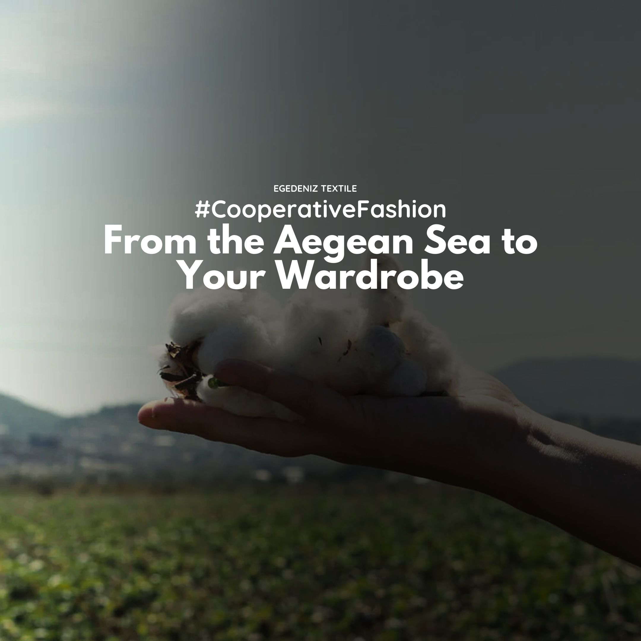 Regenerative Cotton: The Egedeniz Story