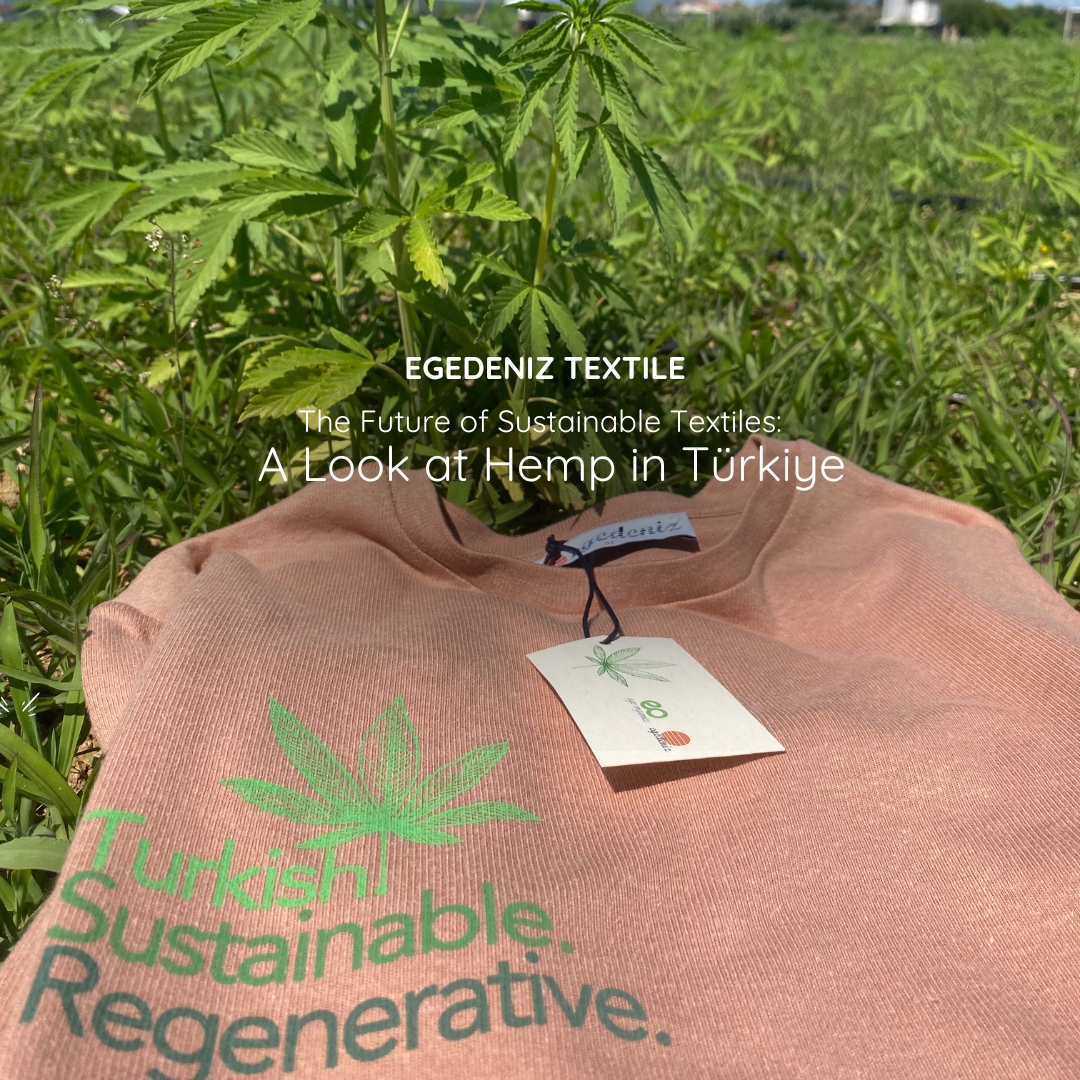 mage promoting Egedeniz Textile's look at hemp in Türkiye, featuring a sustainable hemp t-shirt in a field with the text 'The Future of Sustainable Textiles
