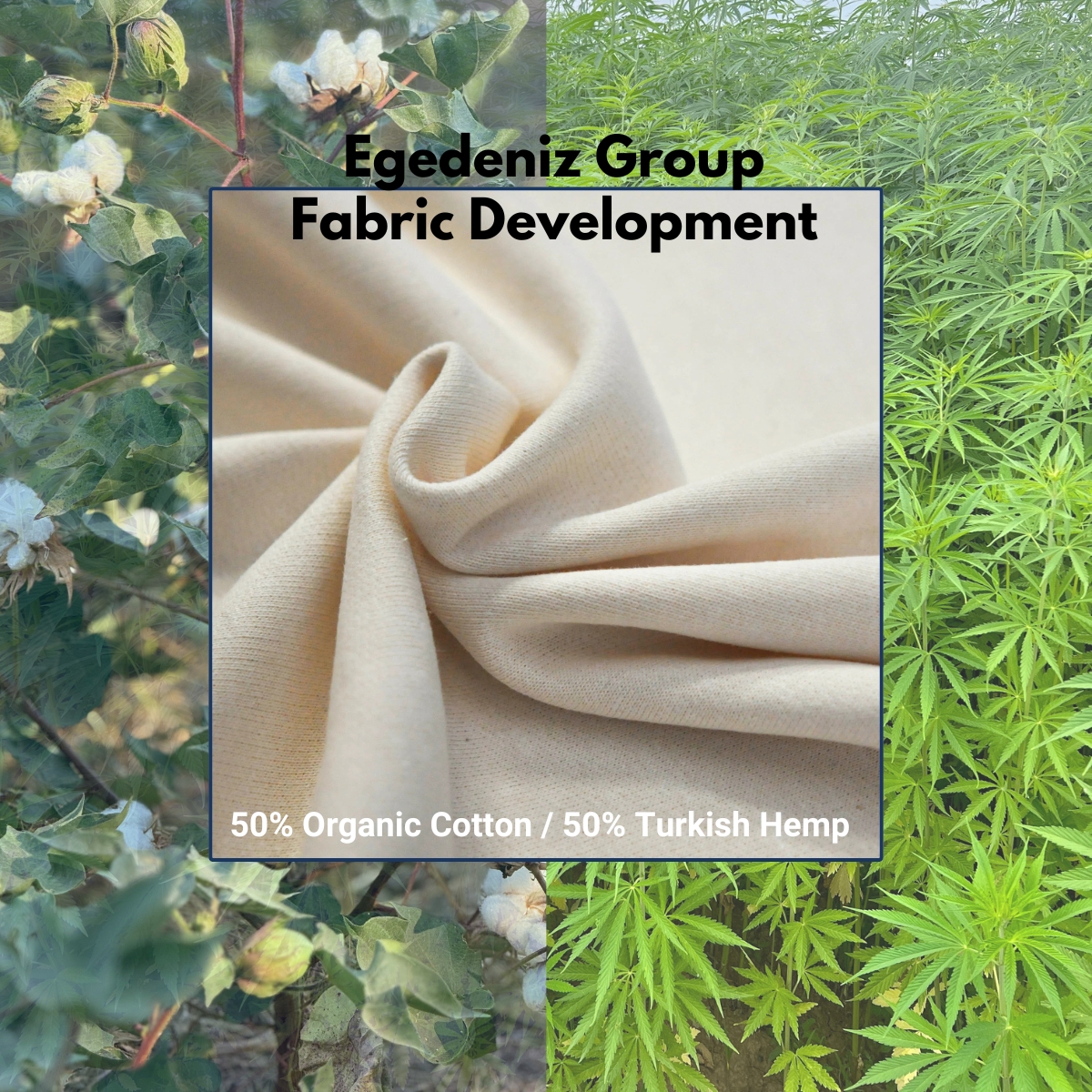 50% hemp 50% organic cotton fabric egedeniz textile