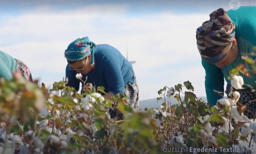 Public Presence Page Website egedeniz Textile